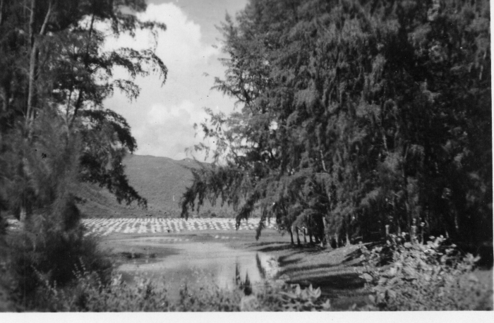 Indochina_1947_Am_gruenen_Wald_Nha_Trang.jpg